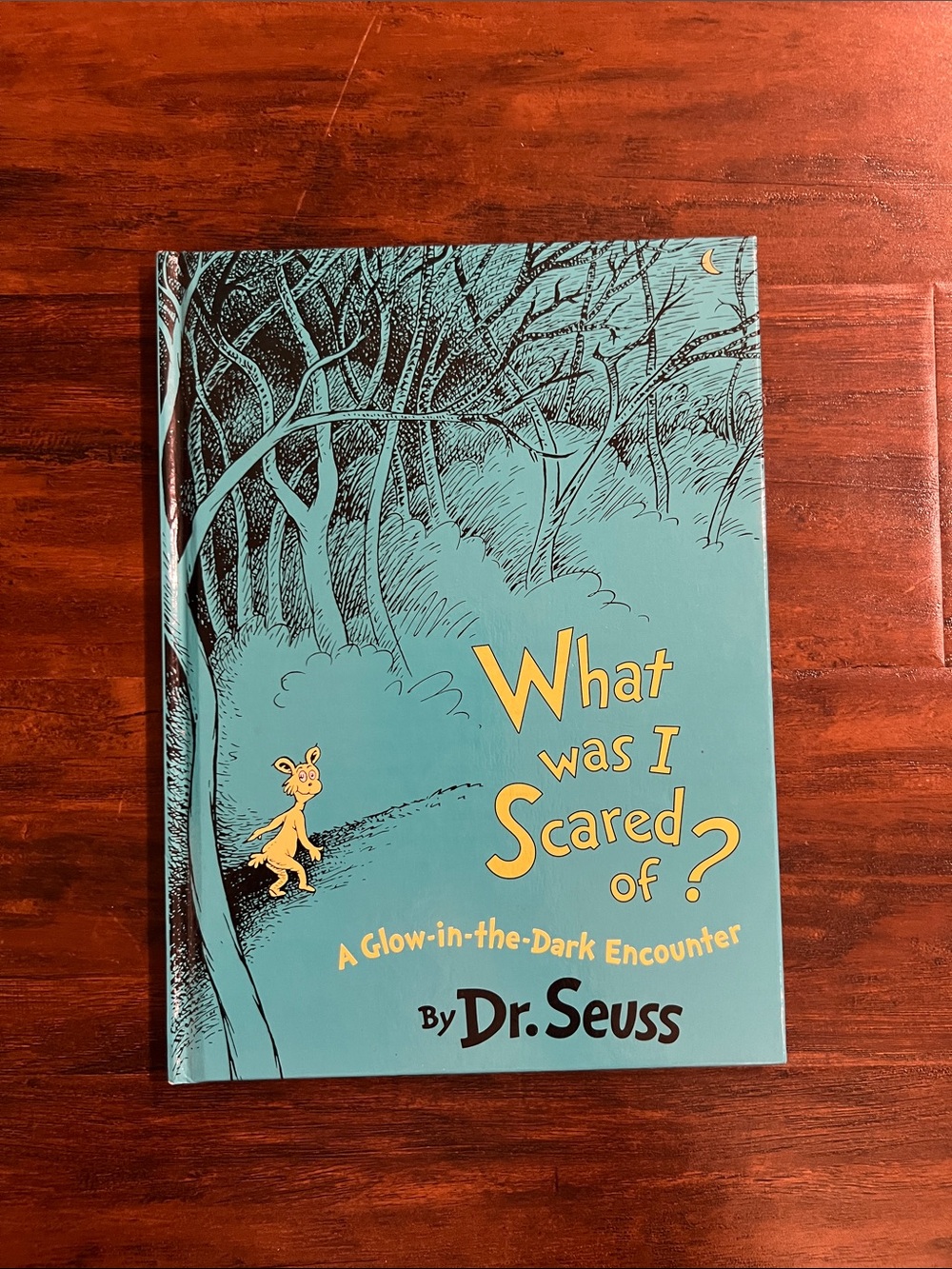 5/$10 Kids Books | Dr. Seuss What Was I Scared Of? Glow in the dark